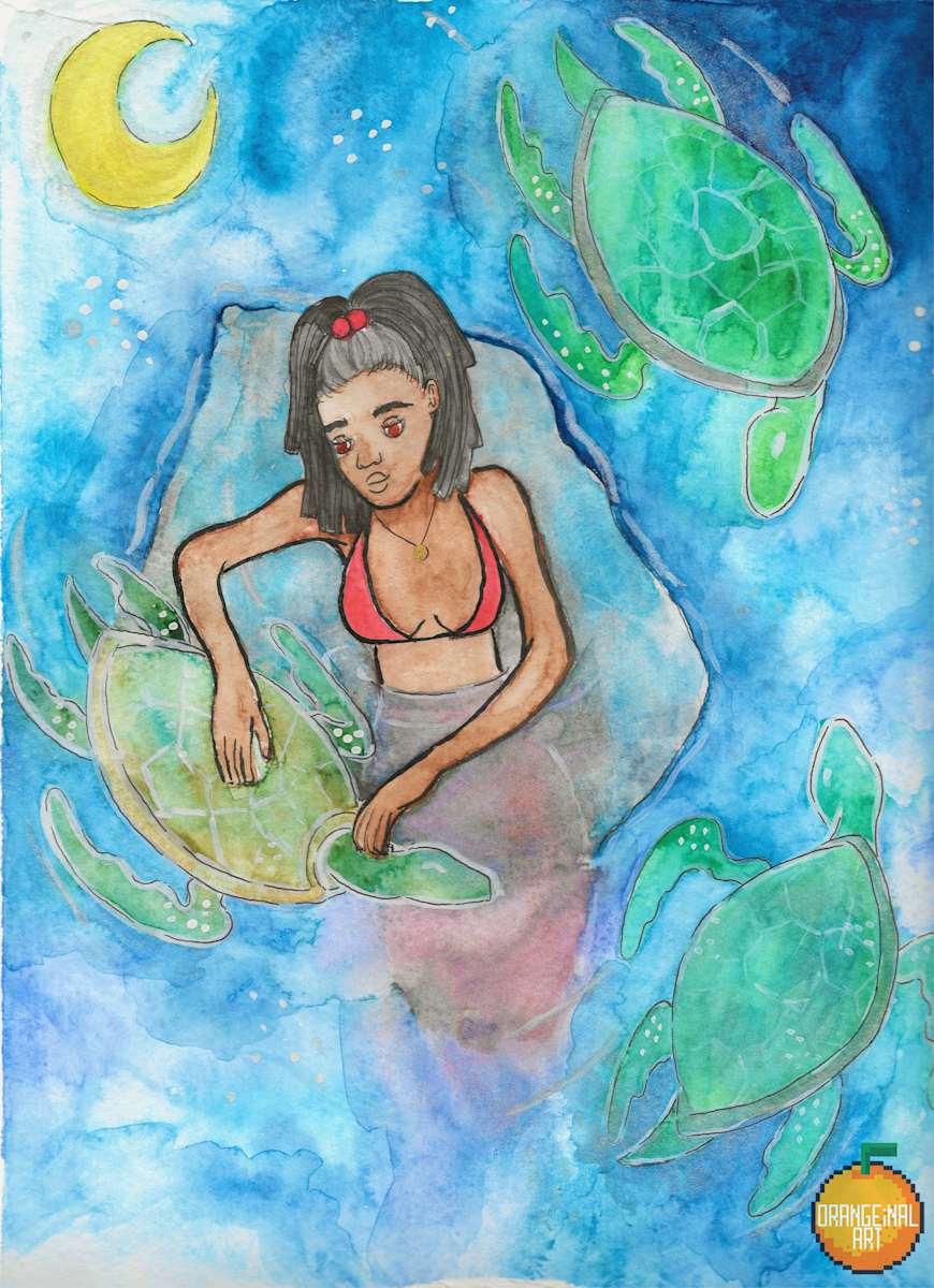 Turtle Cove by Sarah Quildon, Image 1.