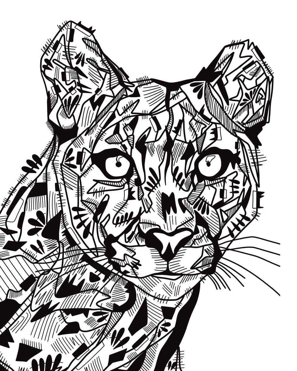 Puma by Rising Moon Studio  Image: Original drawing by Taylor Schiffer-Jander. Acrylic pen on Legion Stonehenge white 250gsm paper, mounted to cradle board, sealed, varnished then framed. Artwork is signed and ready to hang.