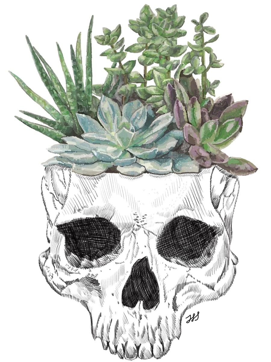 Skull Succulent by Rising Moon Studio 