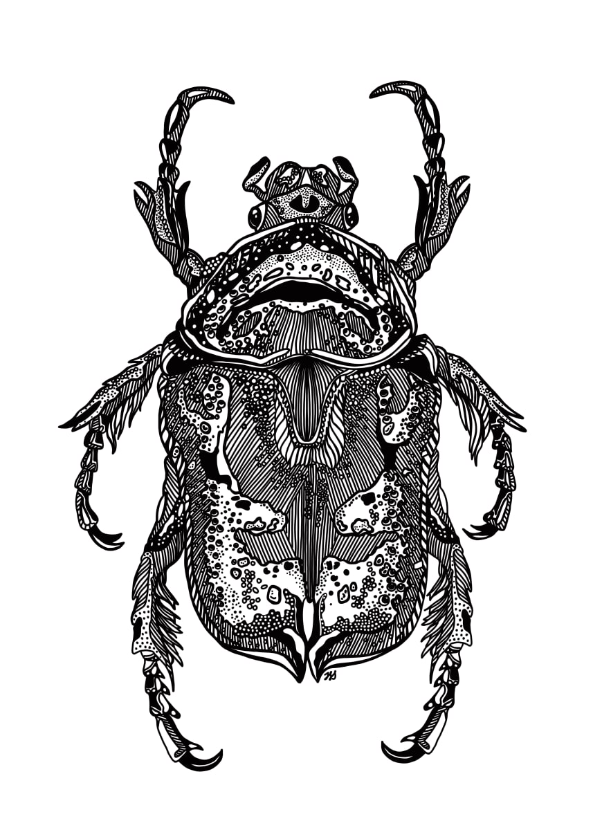 Beetle by Rising Moon Studio  Image: Taylor created this original piece with ink pens drawn on archival paper. Comes in a matted frame. Price includes frame. Artwork is signed and ready to hang.
