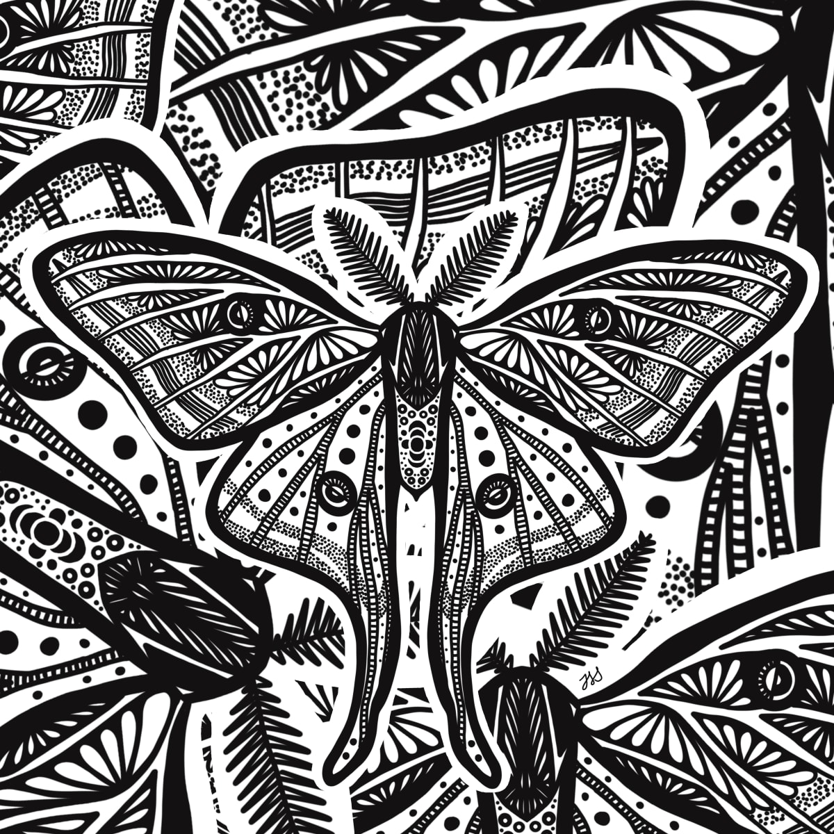 Moths by Rising Moon Studio  Image: Original drawing by Taylor Schiffer-Jander. Acrylic pen on Legion Stonehenge white 250gsm paper, mounted to cradle board, sealed, varnished then framed. Artwork is signed and ready to hang.