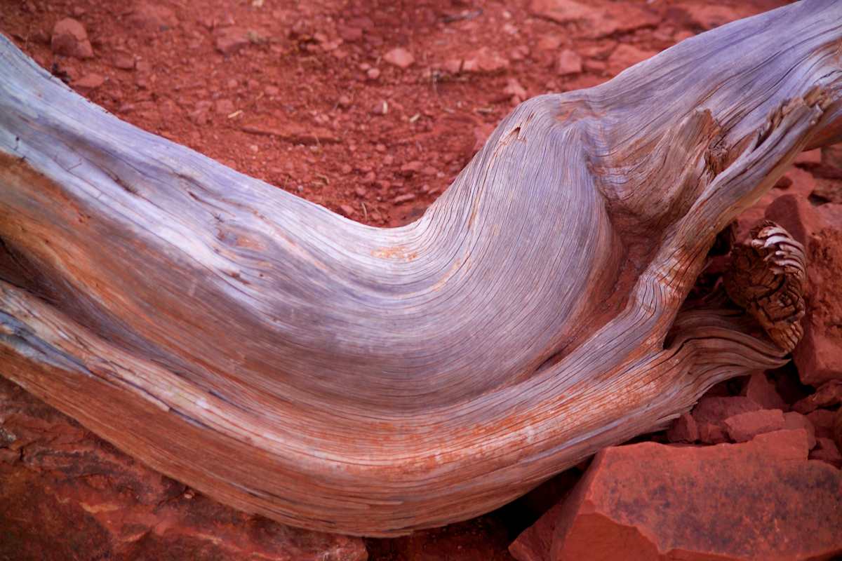 Carved By Time by David Ginsberg, Image 1.