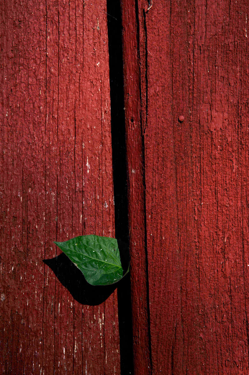 Slipping Through The Cracks by David Ginsberg, Image 1.