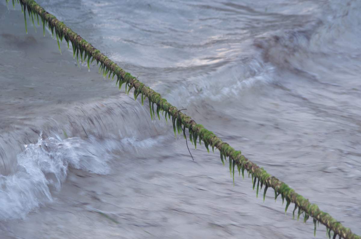 The Mooring Line by David Ginsberg, Image 1.