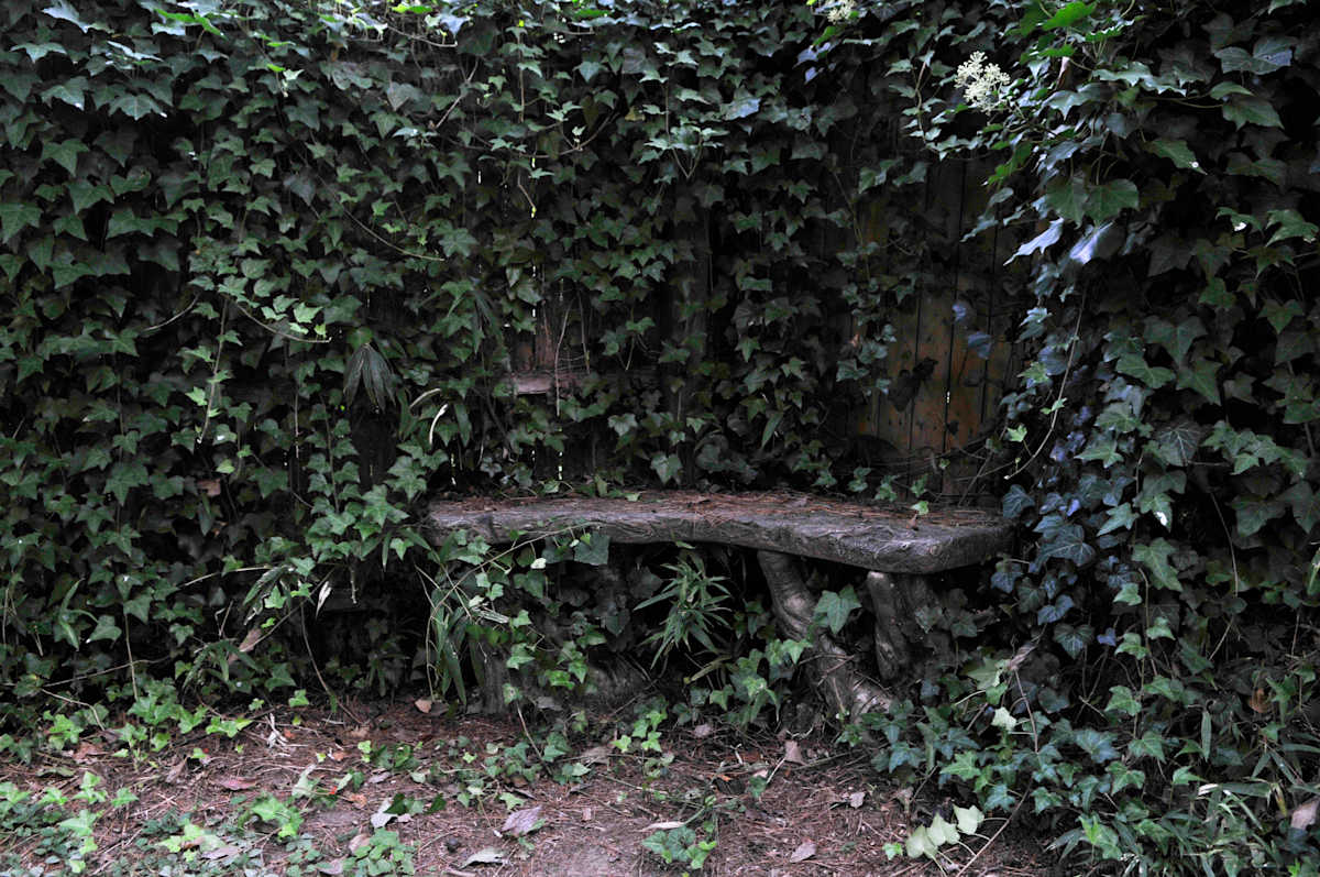 A Place To Rest by David Ginsberg, Image 1.