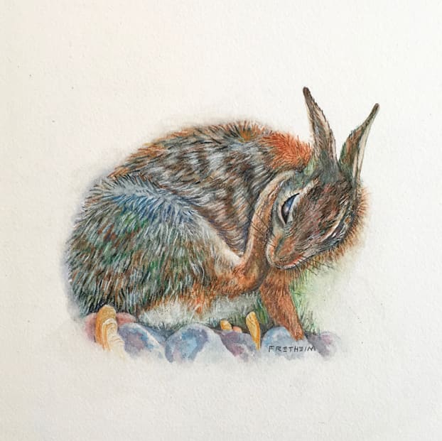 Scratching #1 by Kristine Fretheim, Image 1.