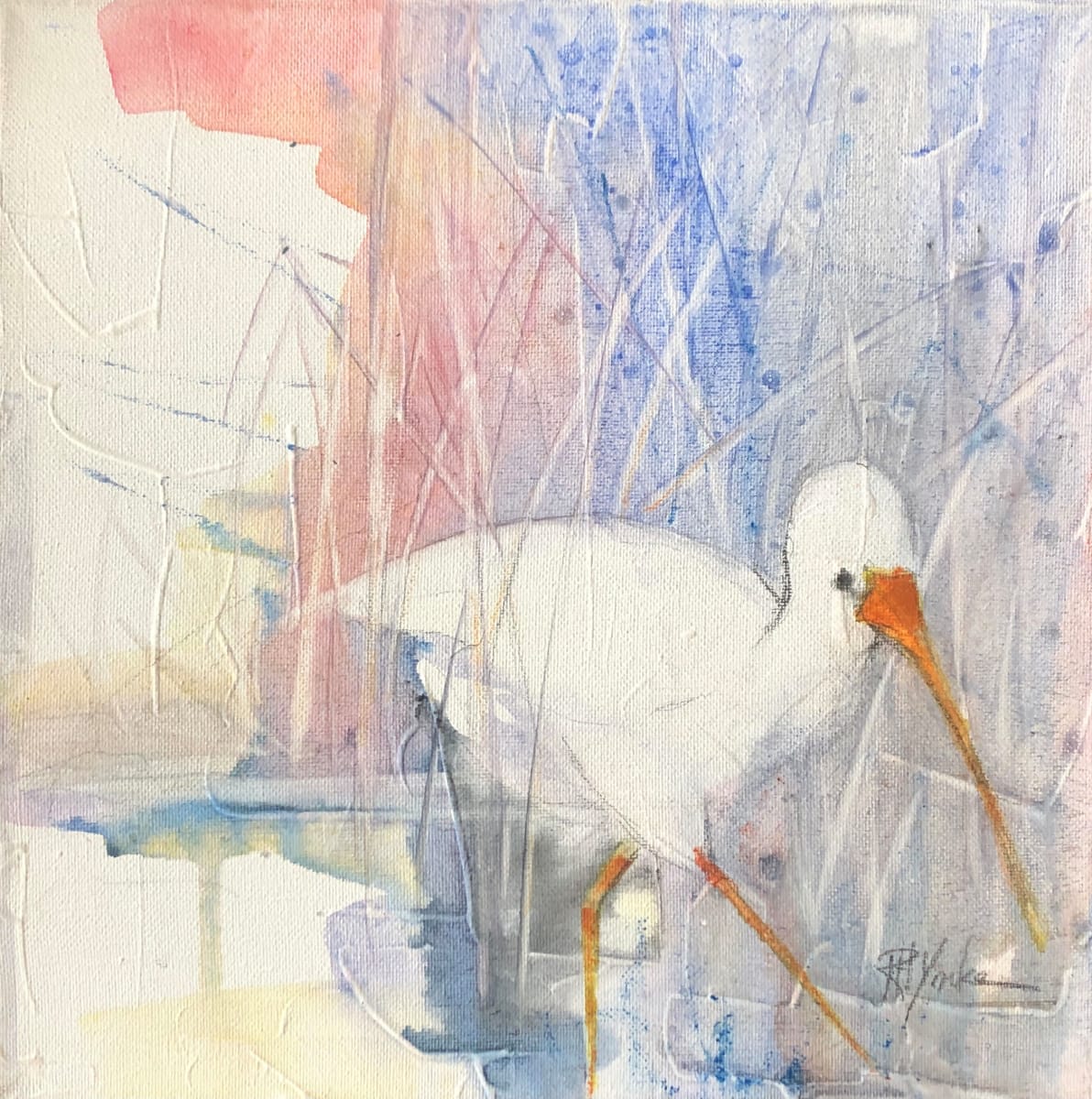Ibis, Image 1.