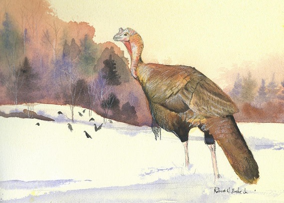 Lone Gobbler by Robert Yonke 