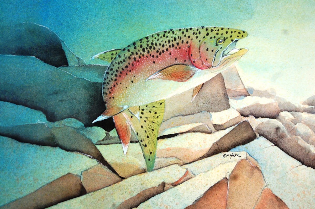 On the Rocks by Robert Yonke, Image 1.