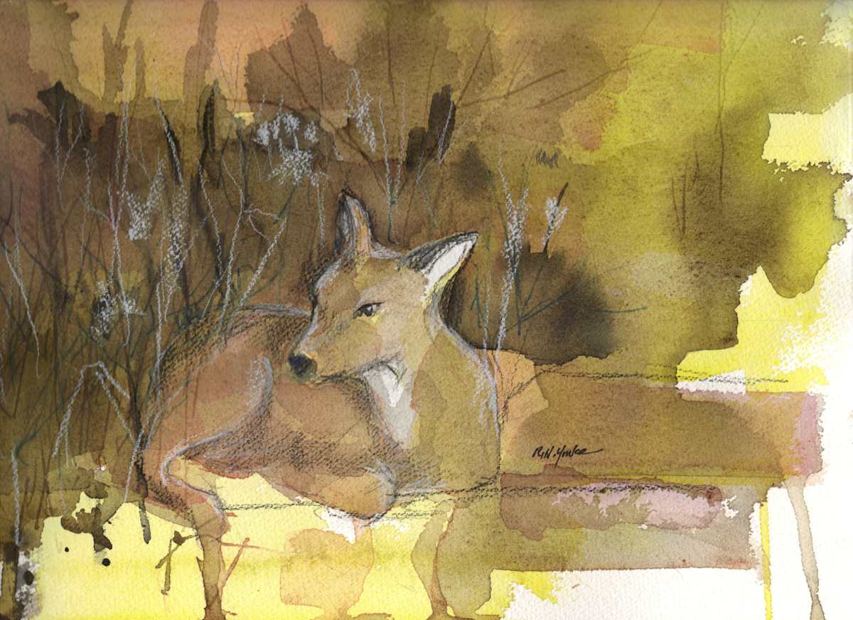 The Fawn by Robert Yonke, Image 1.