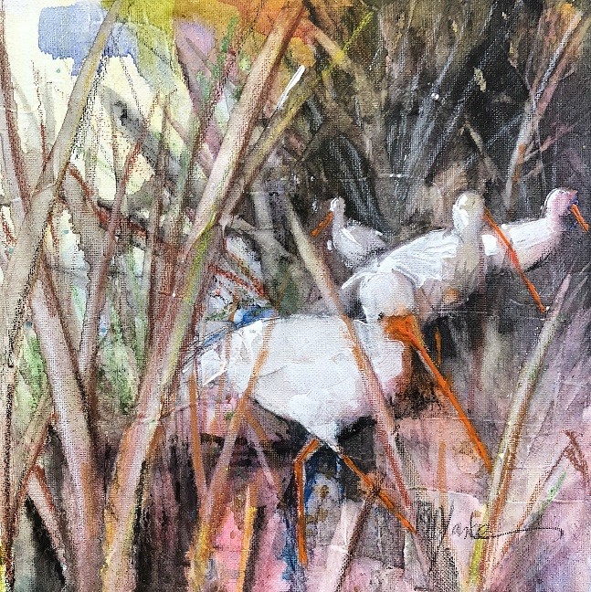 Wood Ibis by Robert Yonke 