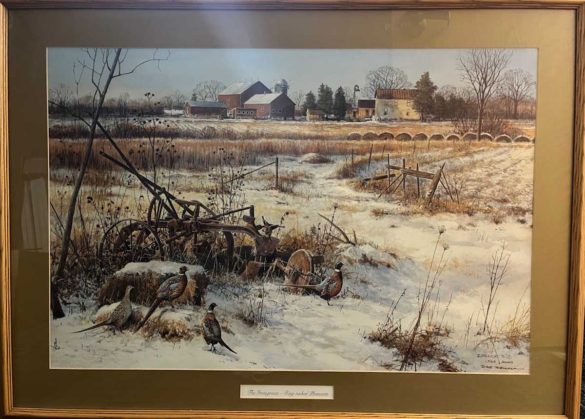 The Immigrants- Ring-Necked Pheasants by Scott Zoellick, Image 1.