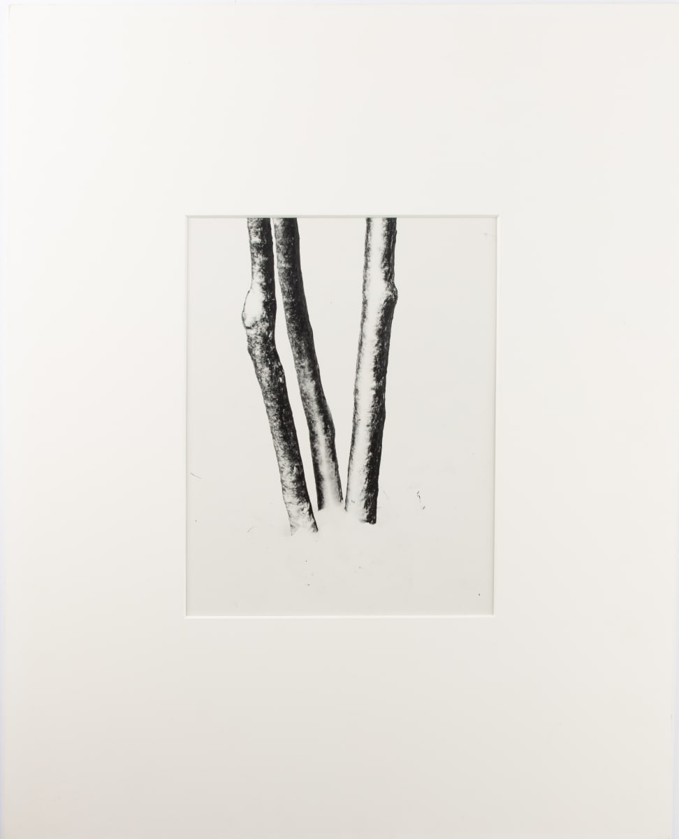 Untitled by Harry Callahan  Image: Harry Callahan, Untitled