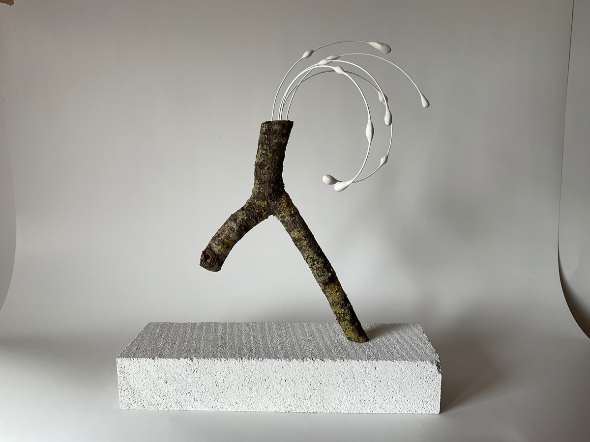 Sapstroom - fierce by Bernet Ragetli 