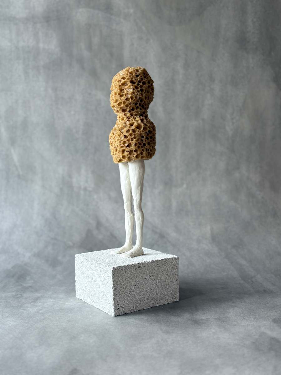 Carry the load  - sponge by Bernet Ragetli, Image 4.