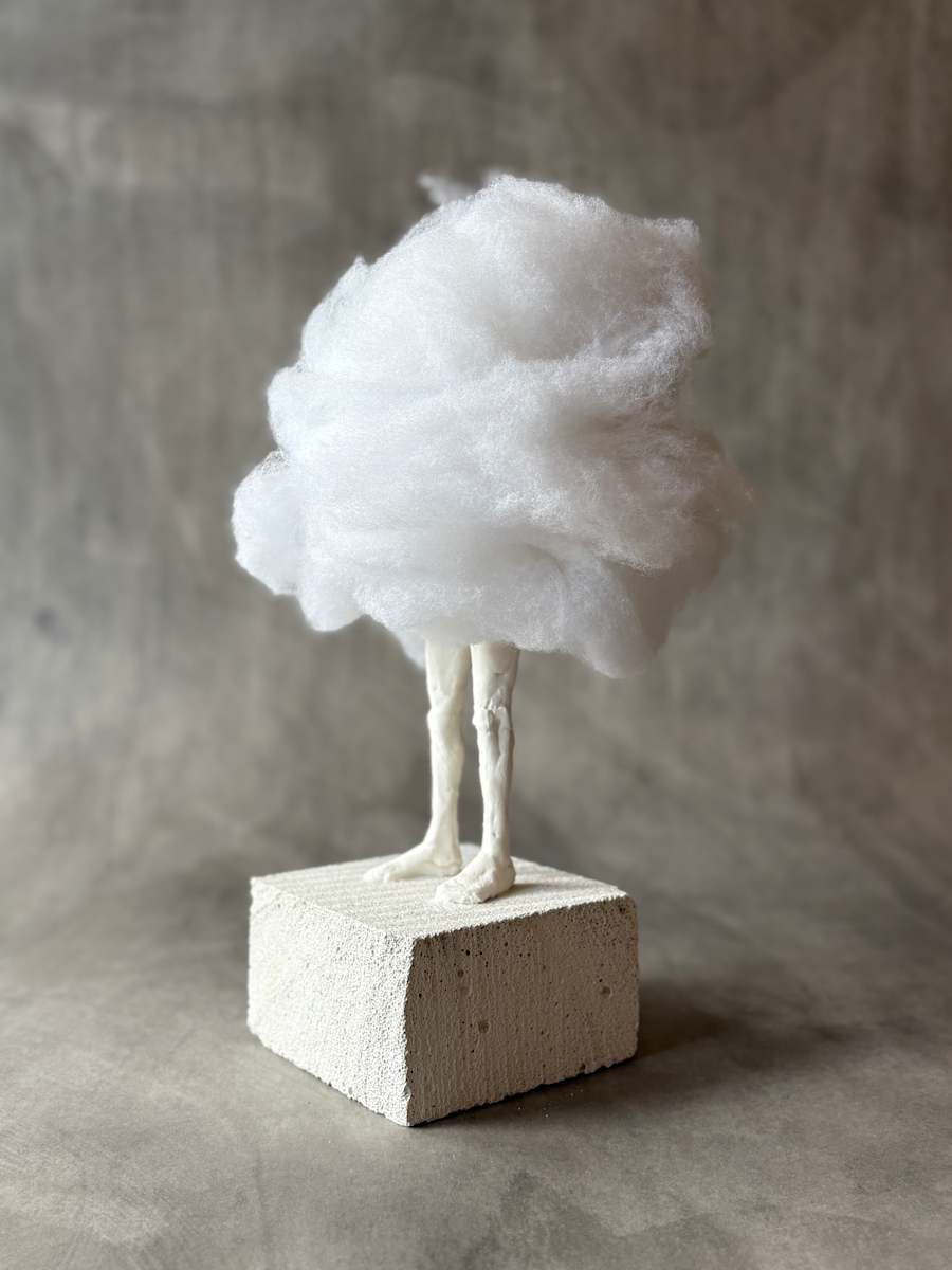 Carry the load - cloud by Bernet Ragetli, Image 8.