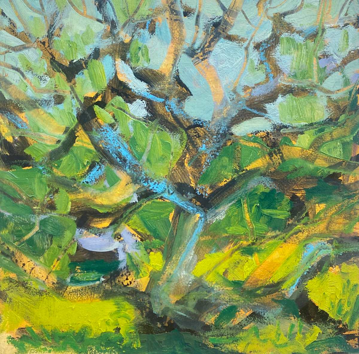 Tree Reaches by Kerri McGill, Image 1.