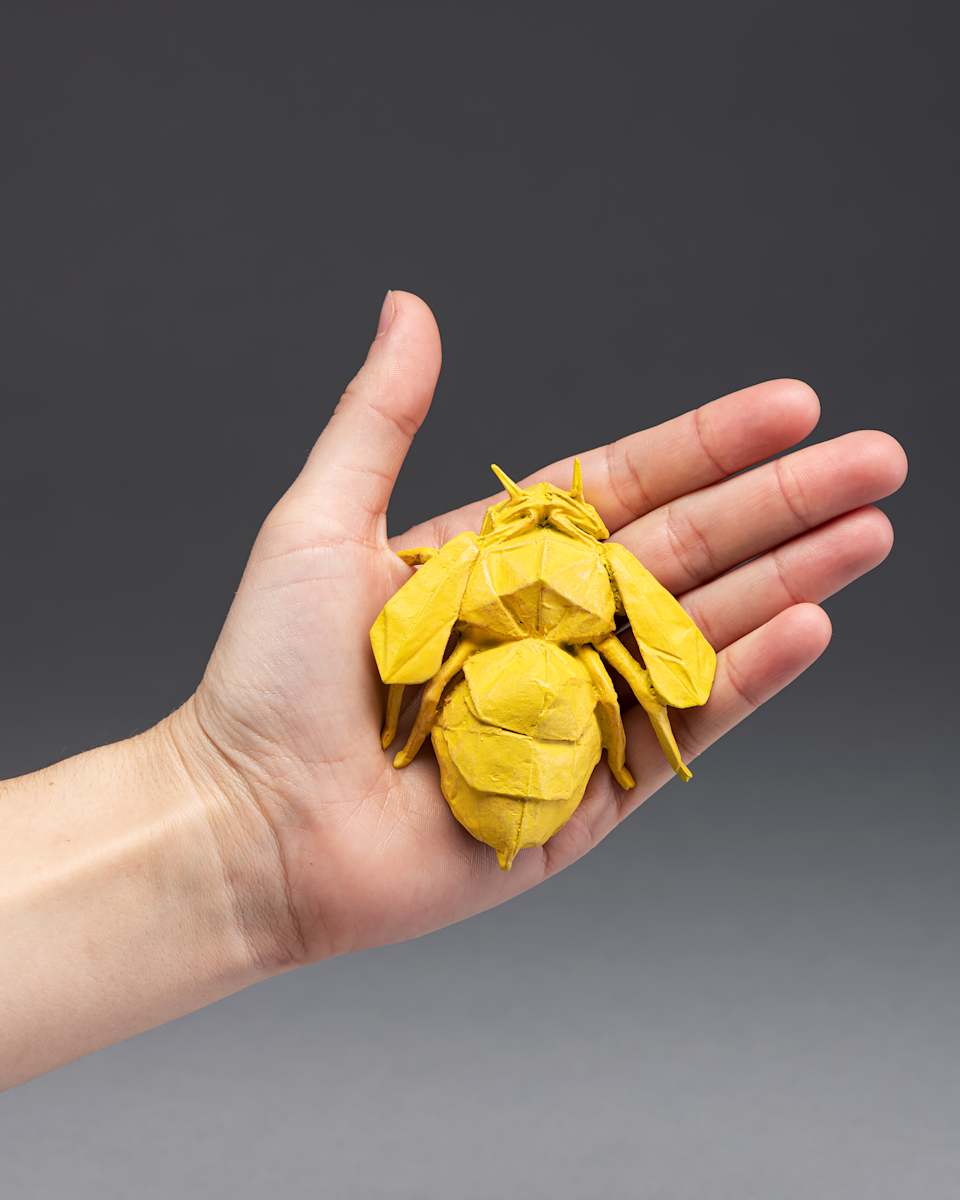 Bee Cause by Kevin Box Studio, Image 1.