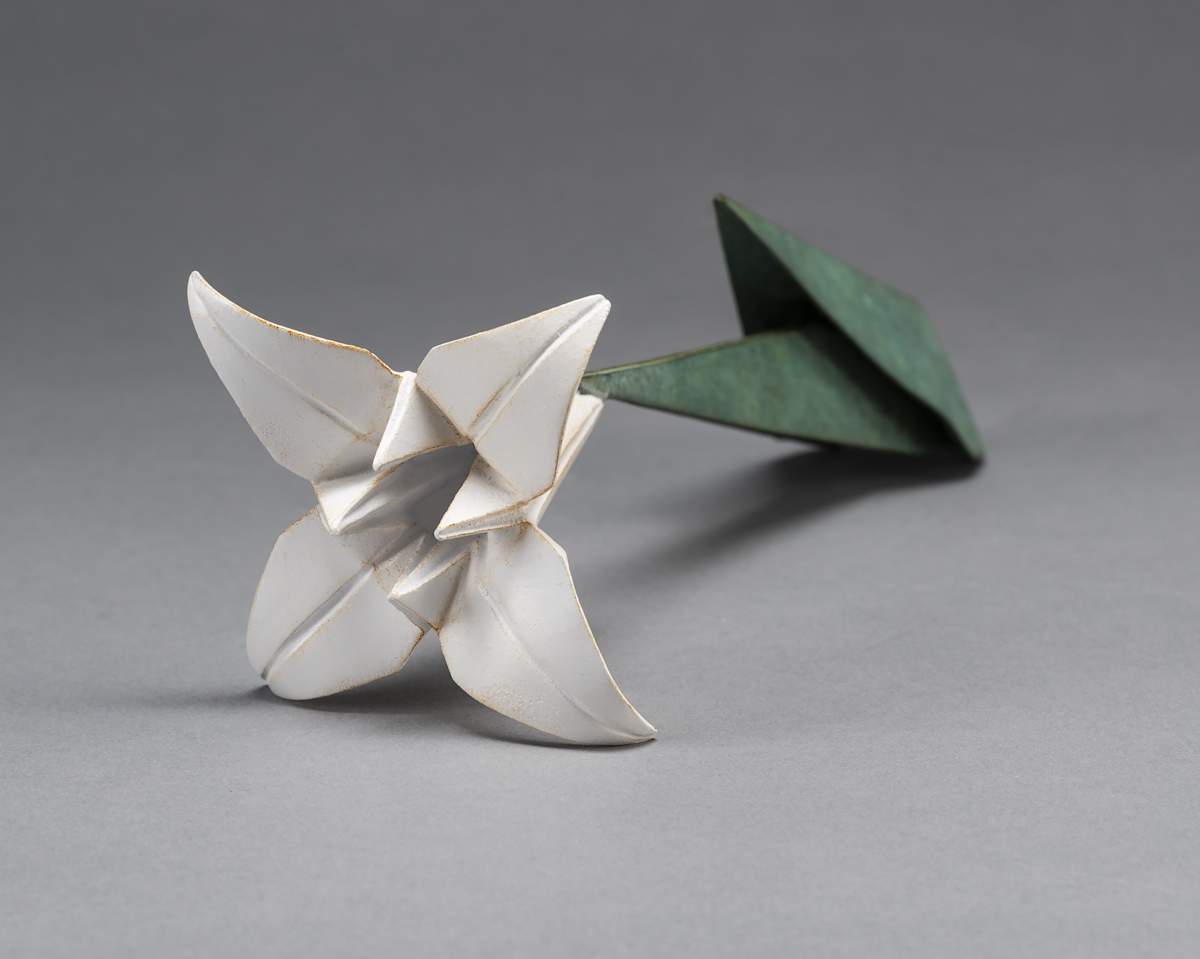 Consider the Lily by Box Studio, Image 2.