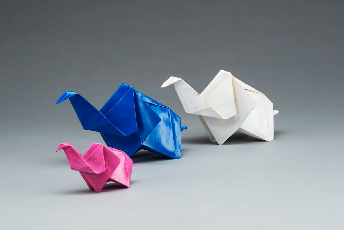Jambo by Kevin Box Studio, Image 1.