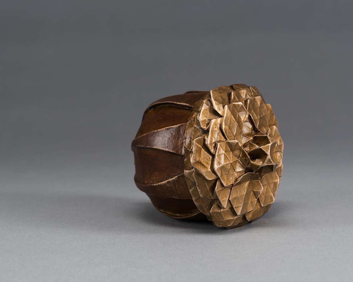 Seed by Kevin Box Studio, Image 2.