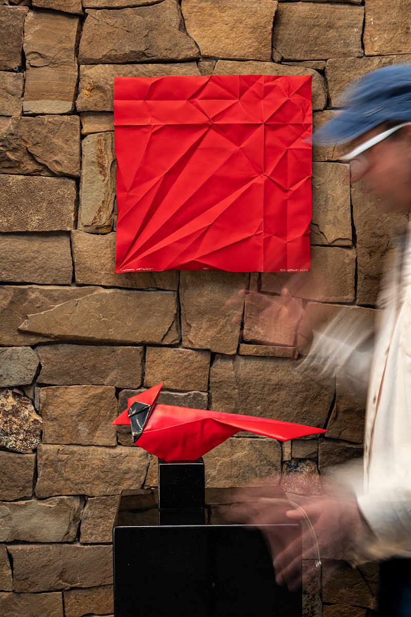 Crease Cardinal by Kevin Box Studio 