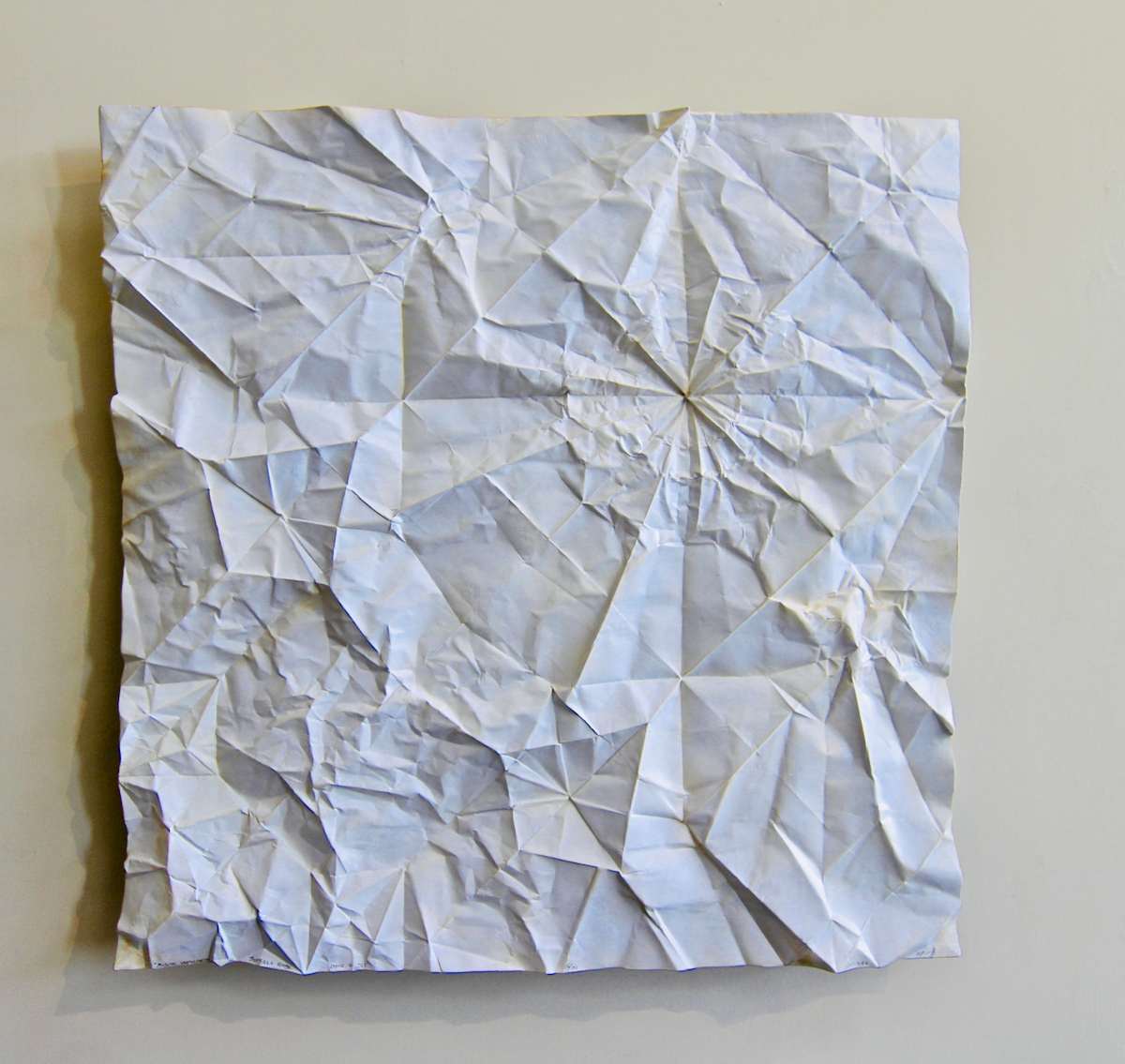 Bison Unfolded, Buffalo Robe, opus 561 by Kevin Box Studio 