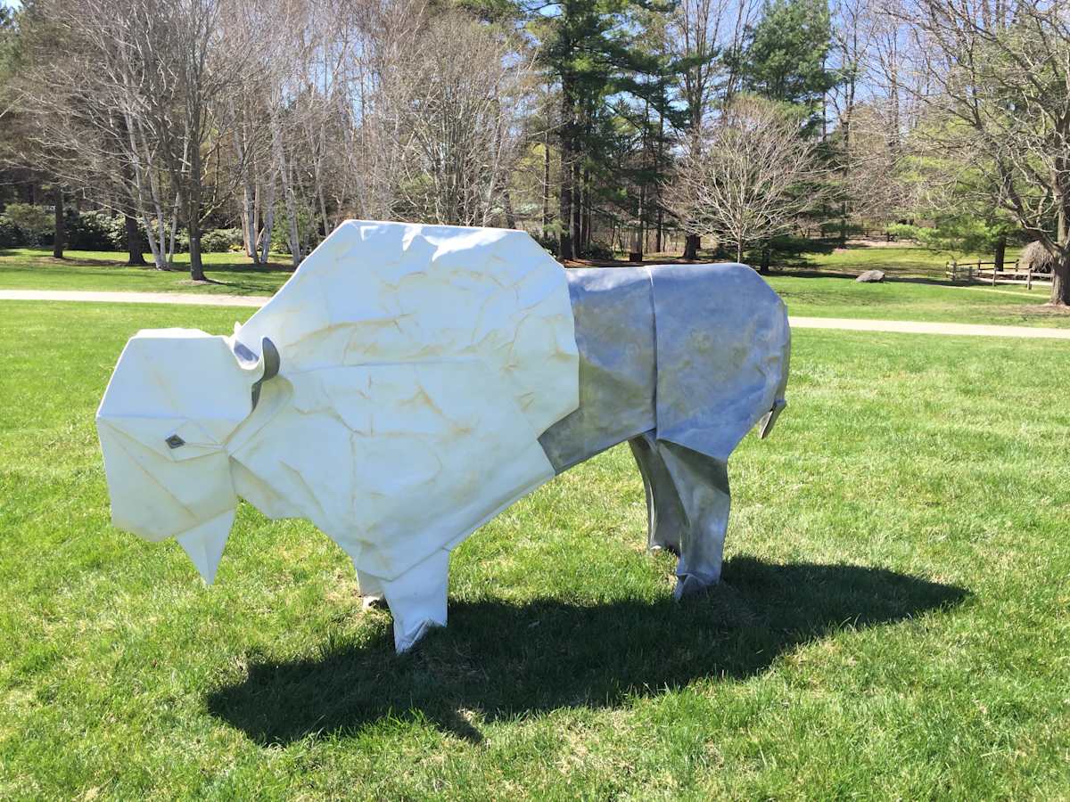 White Bison by Kevin Box Studio 