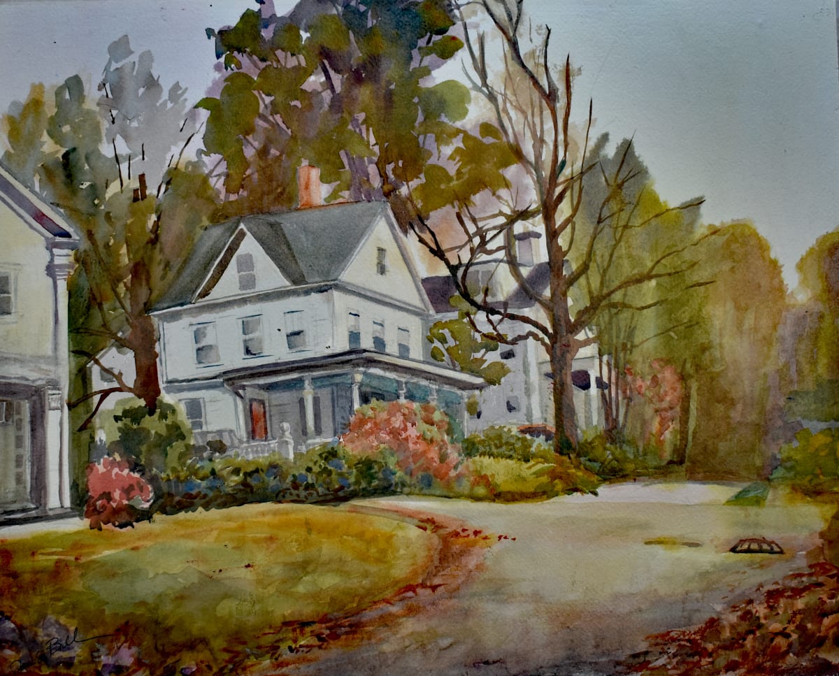 A Home of their Own by Deena S. Ball 