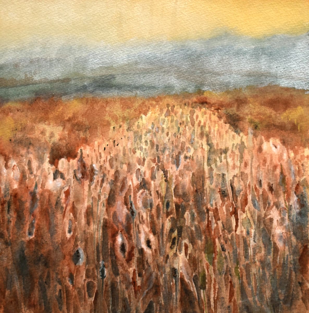 Cattail Light- Hurricane Valley Farm by Deena S. Ball, Image 1.