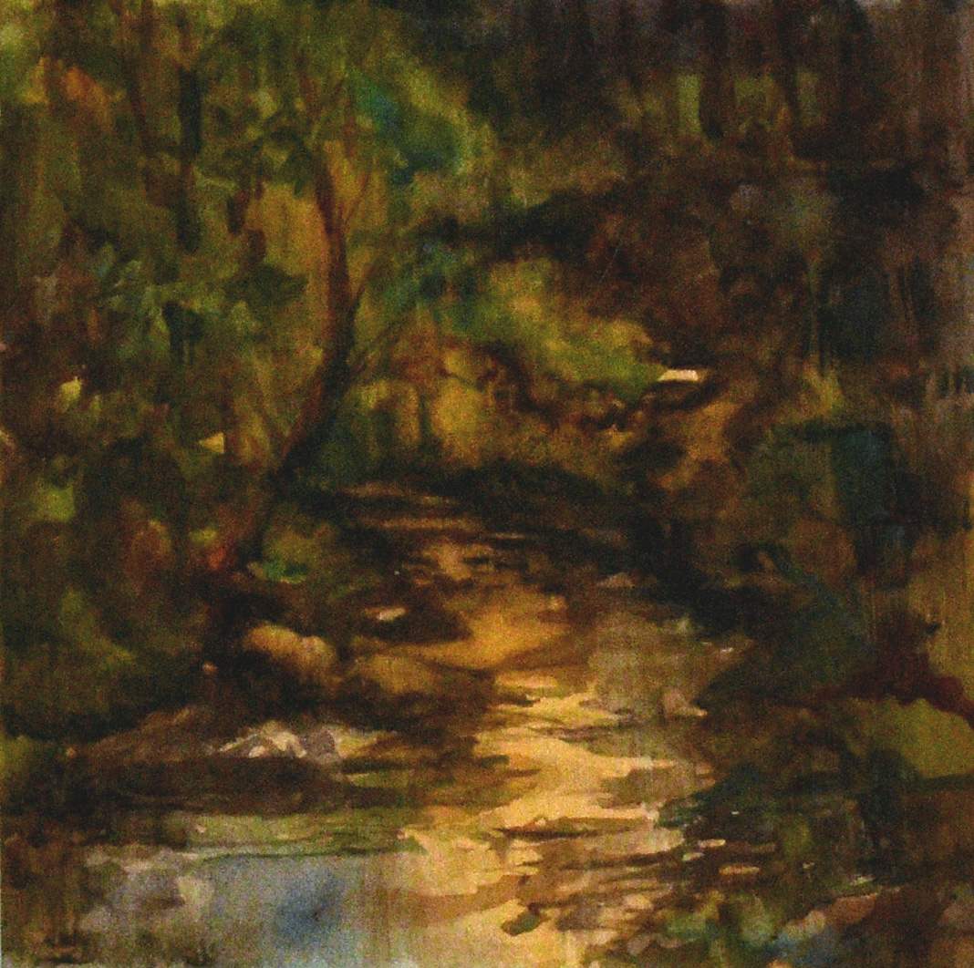 Stream light- Thomas mill-  / crum creek by Deena S. Ball 