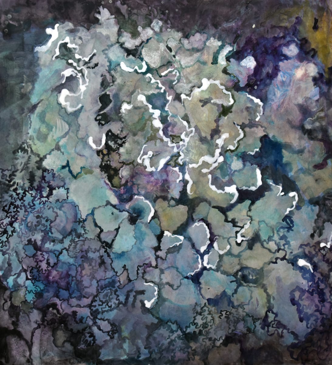 Lichen - Blackstrap Community Preserve by Deena S. Ball  Image: Blackstrap Community Preserve