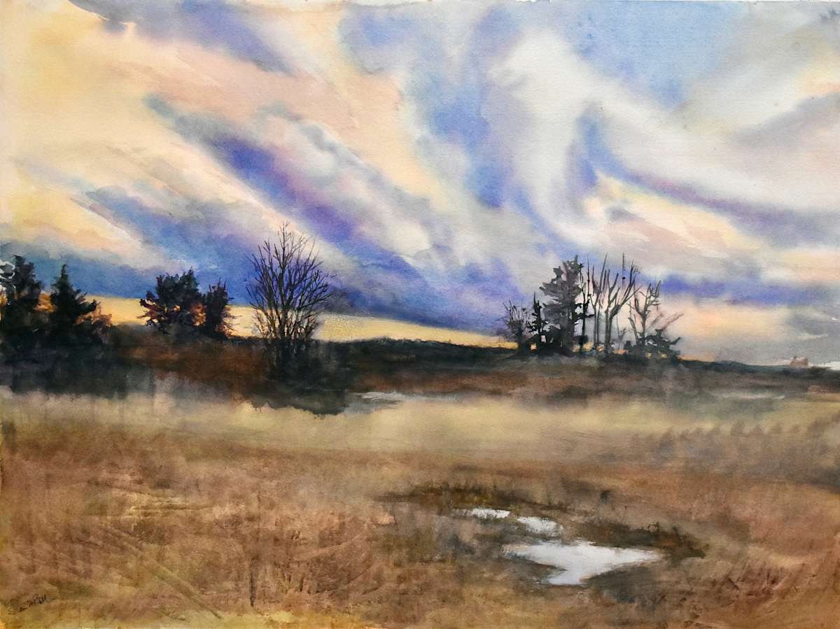 Nightfall- Gilsland Farm/ Maine Audubon by Deena S. Ball, Image 2.