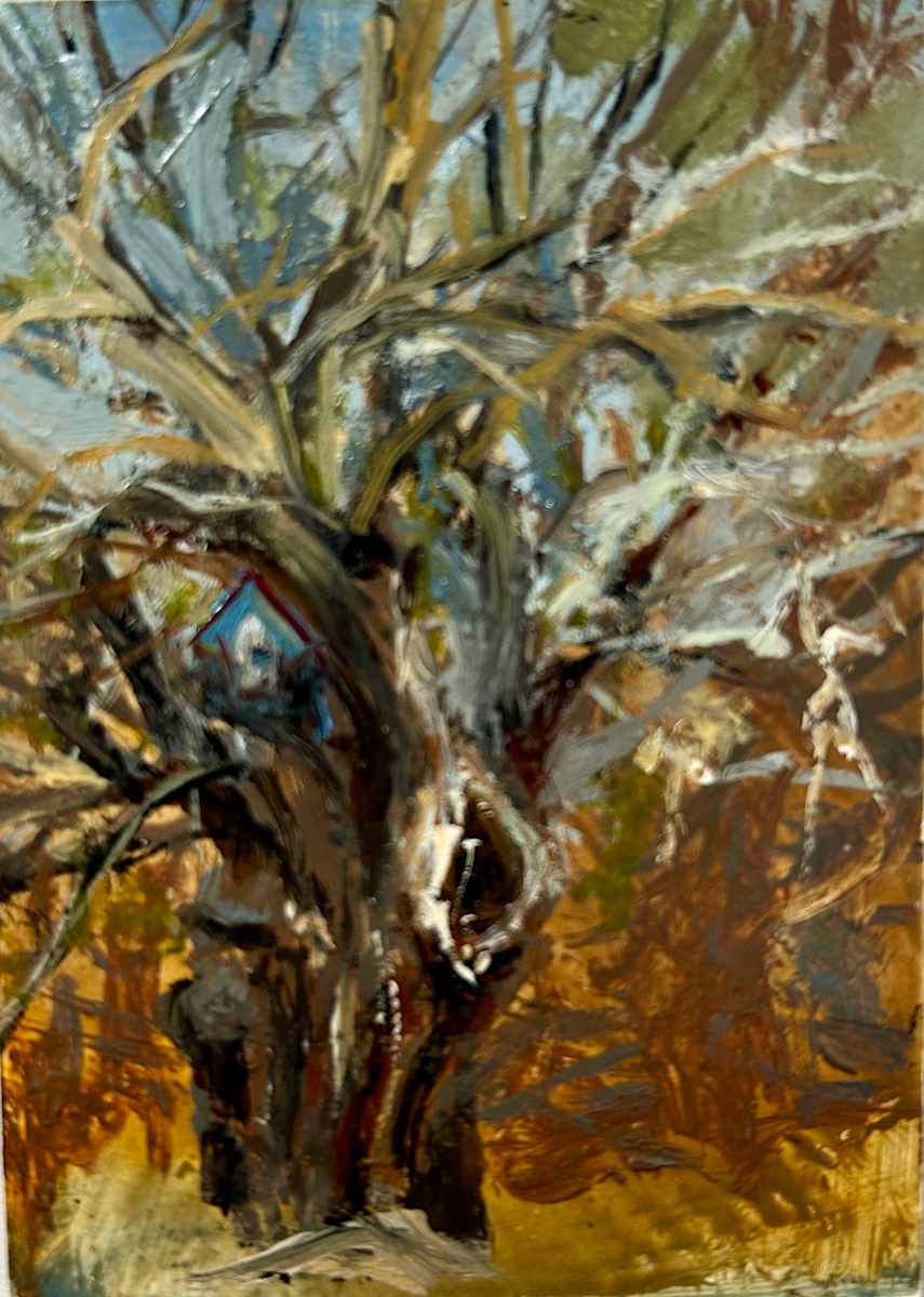 Ancient Apple by Deena S. Ball 