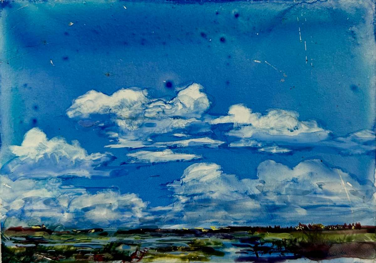 Okeechobee#2 by Deena S. Ball  Image: Plein Air /sprayed with sealer