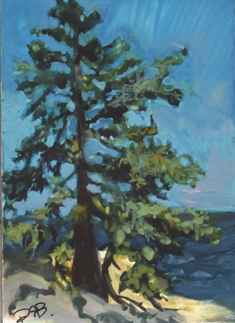 Lone Pine by Deena S. Ball, Image 1.