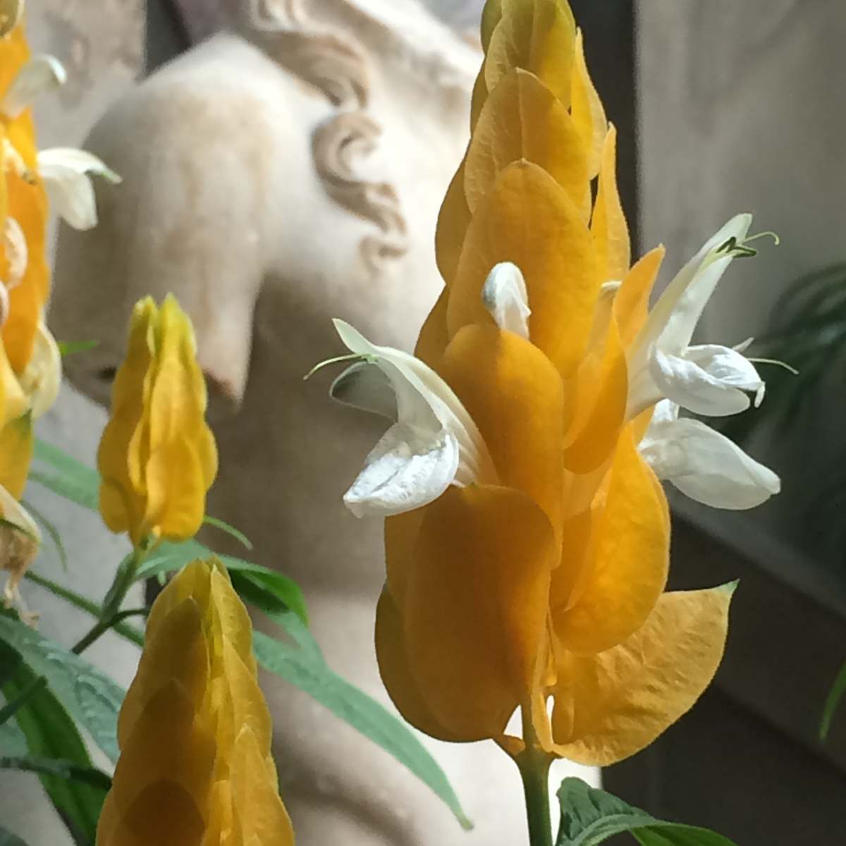 Strong Work by Chris Pero 