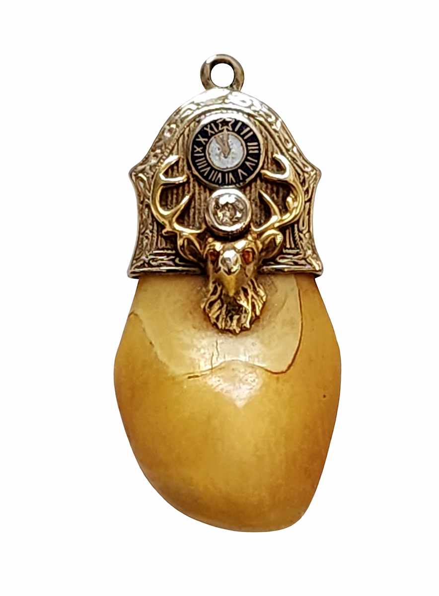 Antique BPOE 14K Gold Elk's Tooth Watch Fob / Pendant by Unknown 