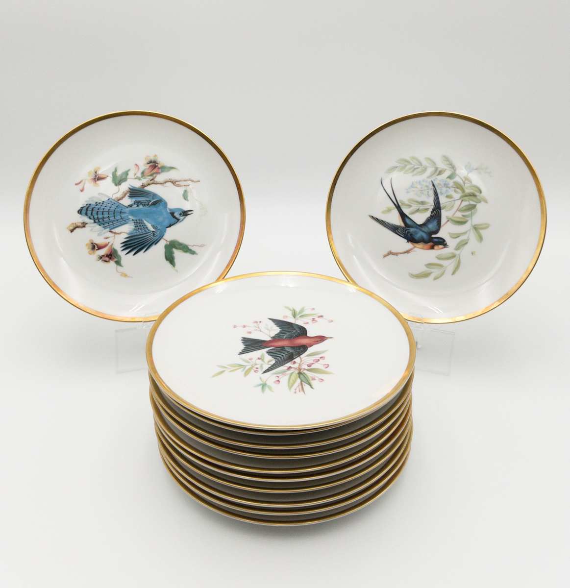 HUTSCHENREUTHER Pasco Audubon Bird Plates 