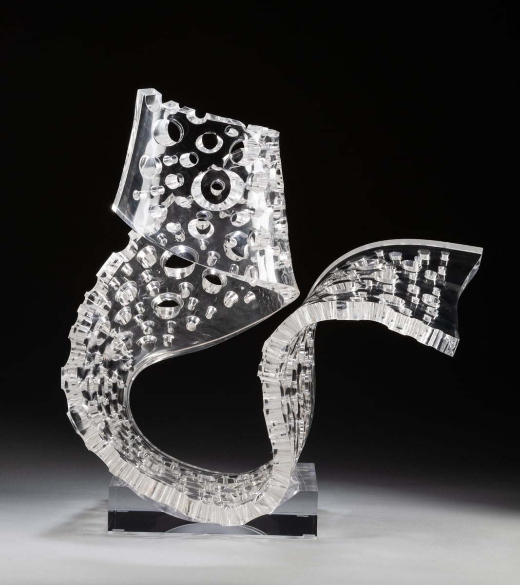 Pororoca III by Michael Enn Sirvet  (Sirvet Studios LLC)  Image: Pororoca III - view #1