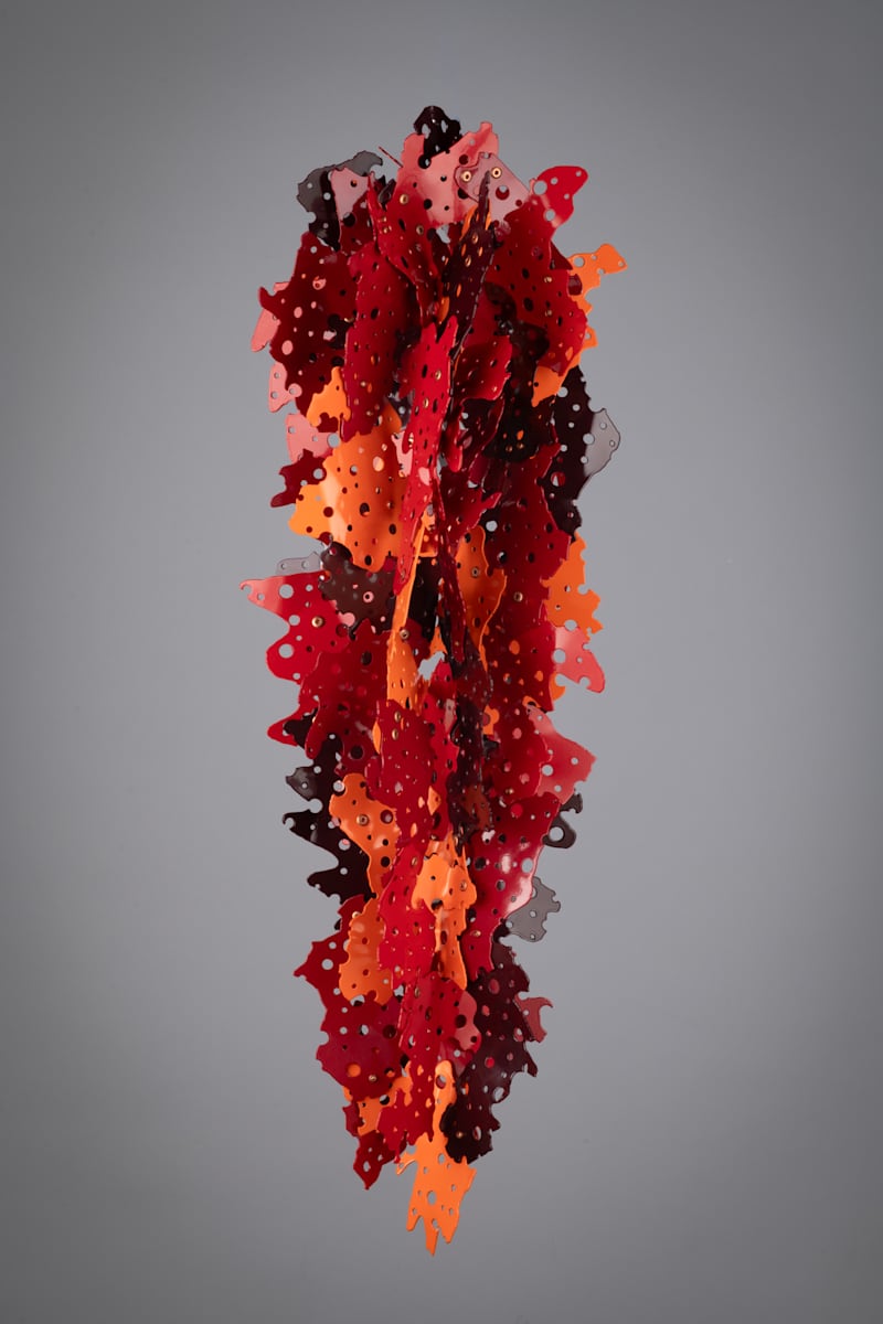 Ristra 2 by Michael Enn Sirvet  (Sirvet Studios LLC), Image 1.