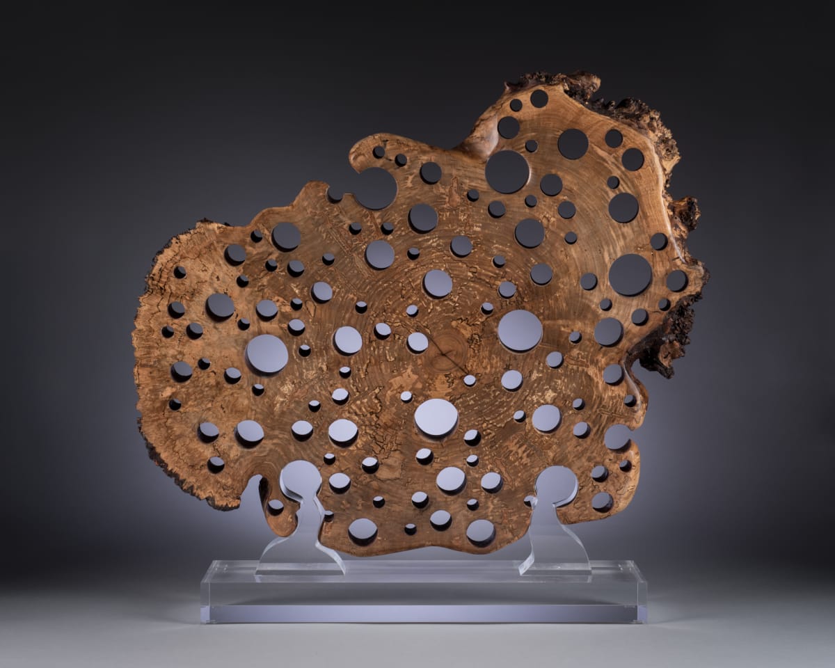 Maple Gale II by Michael Enn Sirvet  (Sirvet Studios LLC)  Image: Maple Gale II - view #1