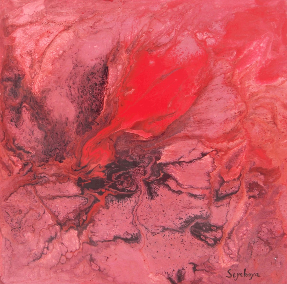 The Rose - La rose by Seyekoya, Image 1.