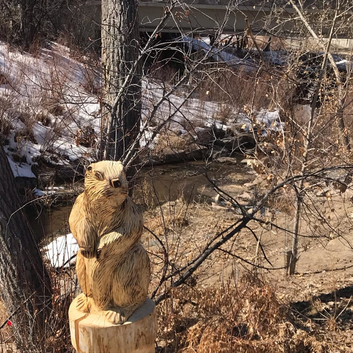 Billy's Beaver by Bill LaFleur 