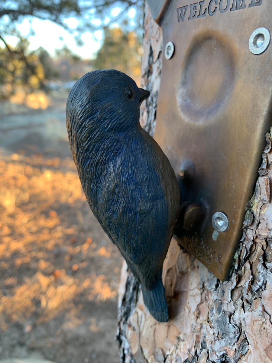 Bluebird Knocker by Mike Dwyer 