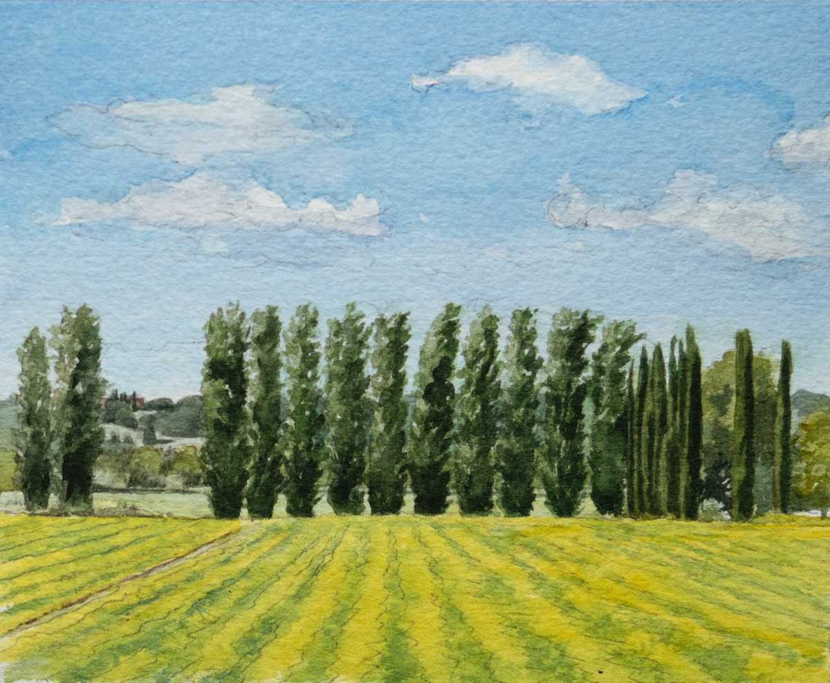 Via Cassia Buonconvento by Mary Chandler 