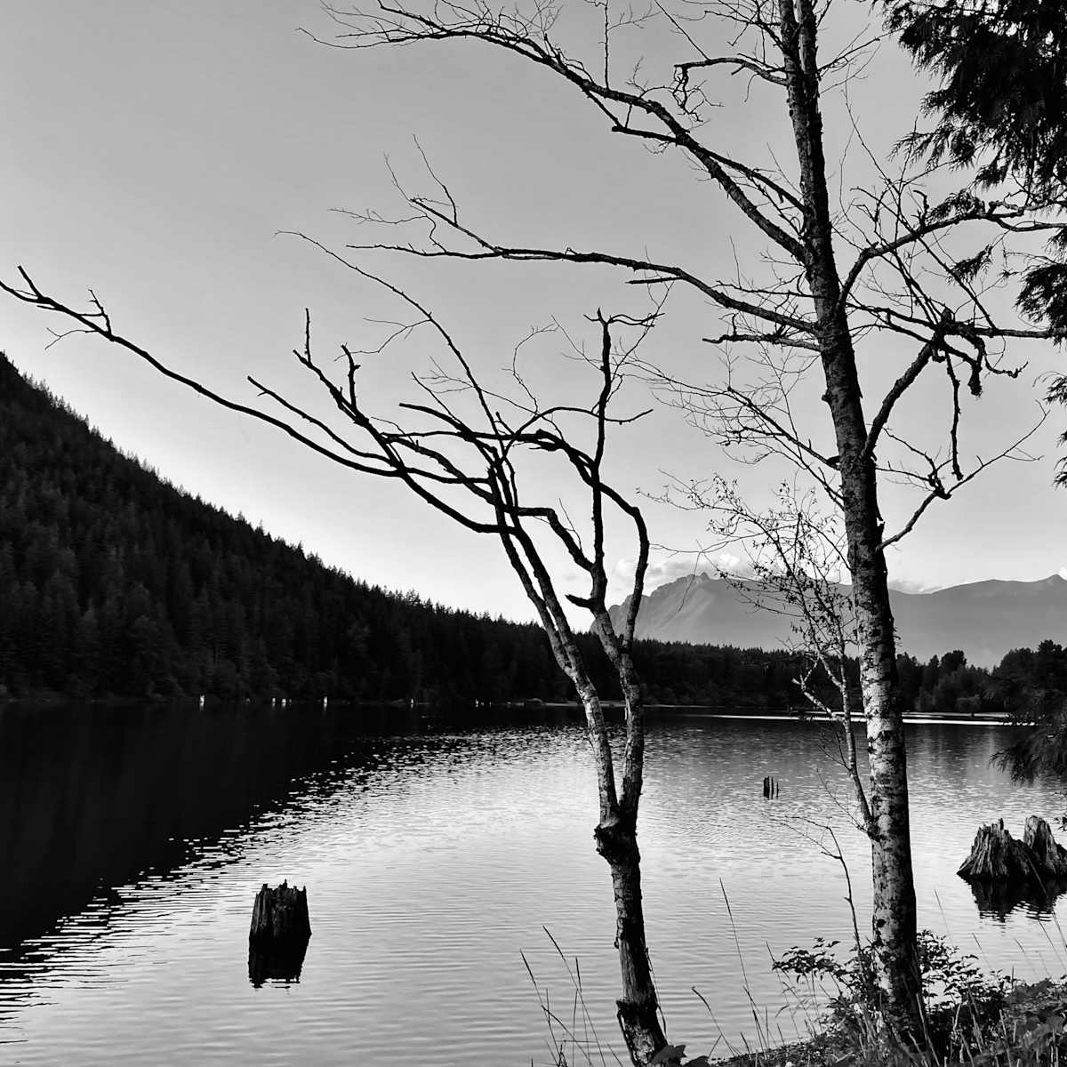 Mountain Lake by Denita Benyshek, Image 1.