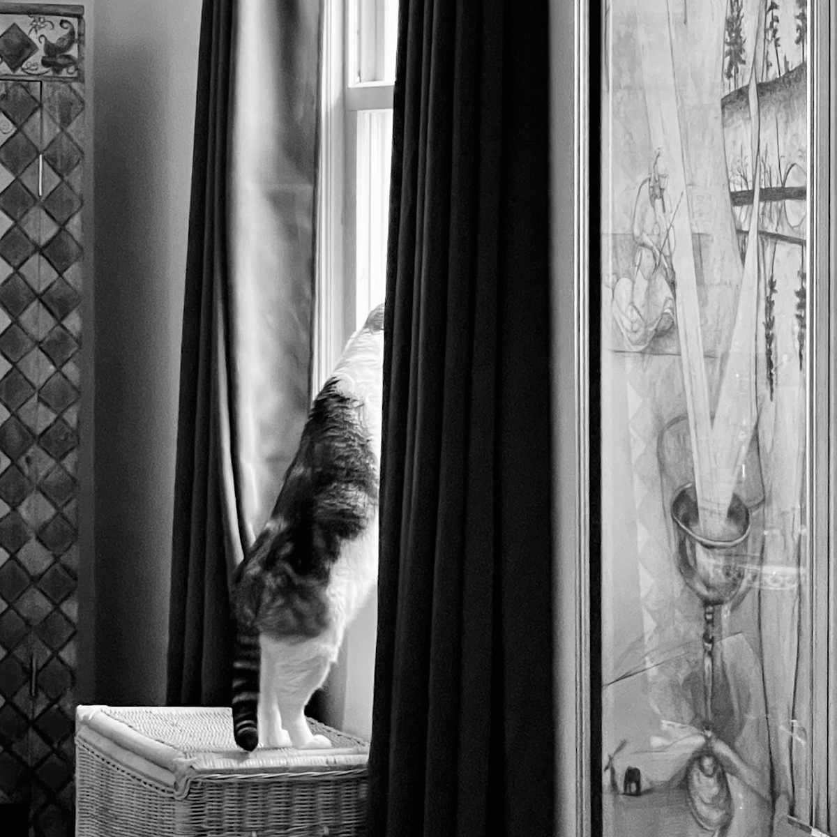 Parker looking out living room window. by Denita Benyshek, Image 1.