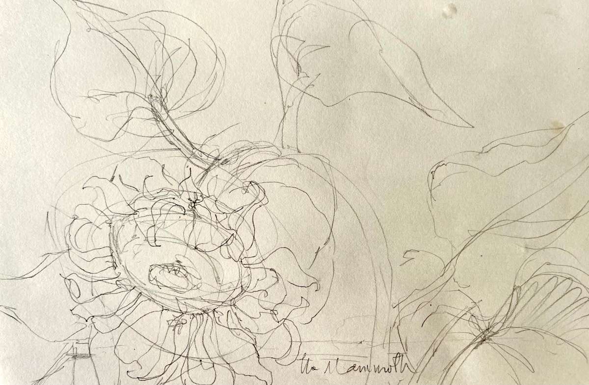 The Mammoth Sunflower by Denita Benyshek 