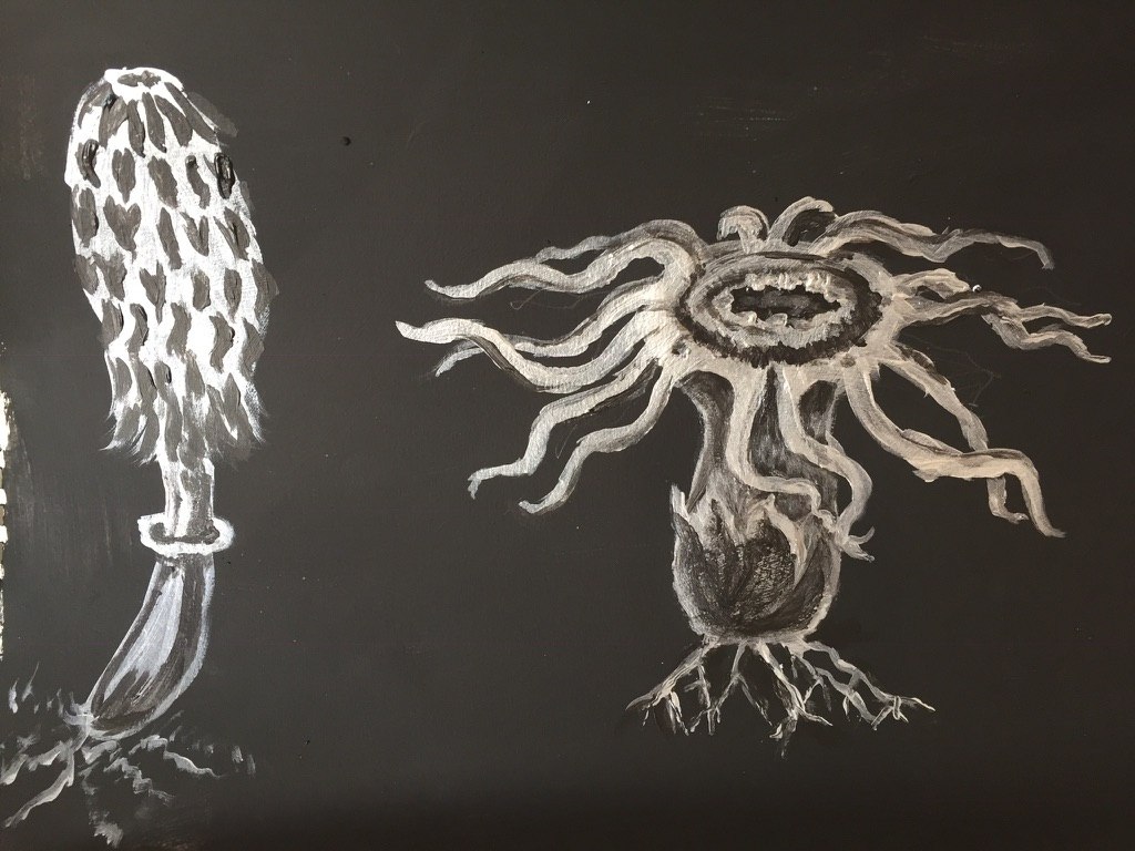 Biro on Black paper drawings by Karen Blacklock 